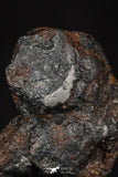 20458 - Taza (NWA 859) Iron Ungrouped Plessitic Octahedrite Meteorite 5.6g