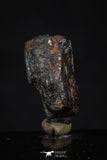 20458 - Taza (NWA 859) Iron Ungrouped Plessitic Octahedrite Meteorite 5.6g