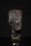 20458 - Taza (NWA 859) Iron Ungrouped Plessitic Octahedrite Meteorite 5.6g