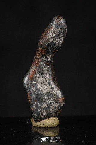 20459 - Taza (NWA 859) Iron Ungrouped Plessitic Octahedrite Meteorite 3.8g