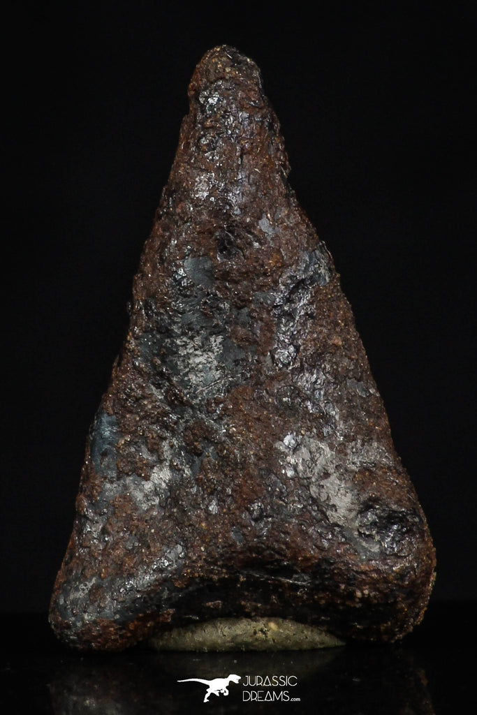 20460 - Taza (NWA 859) Iron Ungrouped Plessitic Octahedrite Meteorite 4.3g