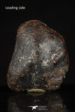 20461 - Taza (NWA 859) Iron Ungrouped Plessitic Octahedrite Meteorite 2.4g ORIENTED