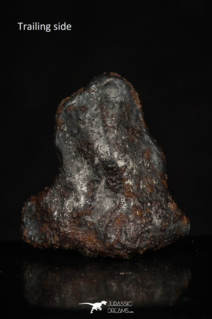 20462 - Taza (NWA 859) Iron Ungrouped Plessitic Octahedrite Meteorite 4.2g ORIENTED