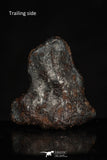 20462 - Taza (NWA 859) Iron Ungrouped Plessitic Octahedrite Meteorite 4.2g ORIENTED