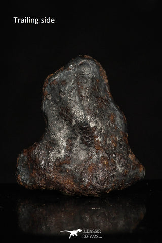 20462 - Taza (NWA 859) Iron Ungrouped Plessitic Octahedrite Meteorite 4.2g ORIENTED