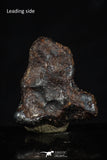 20462 - Taza (NWA 859) Iron Ungrouped Plessitic Octahedrite Meteorite 4.2g ORIENTED