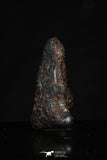 20462 - Taza (NWA 859) Iron Ungrouped Plessitic Octahedrite Meteorite 4.2g ORIENTED