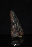 20462 - Taza (NWA 859) Iron Ungrouped Plessitic Octahedrite Meteorite 4.2g ORIENTED