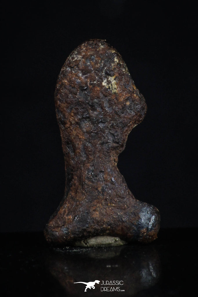 20464 - Taza (NWA 859) Iron Ungrouped Plessitic Octahedrite Meteorite 2.3g