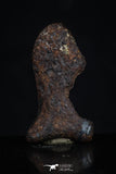 20464 - Taza (NWA 859) Iron Ungrouped Plessitic Octahedrite Meteorite 2.3g