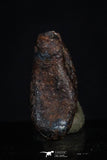 20464 - Taza (NWA 859) Iron Ungrouped Plessitic Octahedrite Meteorite 2.3g