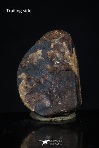 20467 - Taza (NWA 859) Iron Ungrouped Plessitic Octahedrite Meteorite 2.3g ORIENTED
