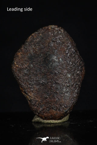 20468 - Taza (NWA 859) Iron Ungrouped Plessitic Octahedrite Meteorite 1.9g ORIENTED