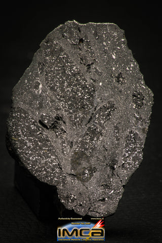 00002 - Rare 58.7g Impact Melt Breccia IMB Polished Section Chondrite Meteorite