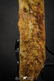 07582 - Great 8.78 Inch Hybodus Shark Dorsal Spine Cretaceous KemKem Beds