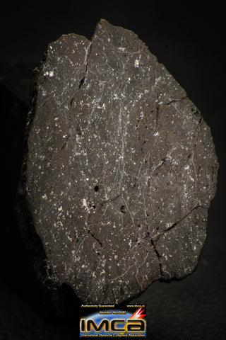 00006 - Rare 26.7g Impact Melt Breccia IMB Polished Section Chondrite Meteorite
