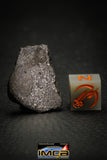 00007 - Rare 4.0g Impact Melt Breccia IMB Polished Section Chondrite Meteorite