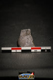 00007 - Rare 4.0g Impact Melt Breccia IMB Polished Section Chondrite Meteorite