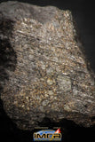 00007 - Rare 4.0g Impact Melt Breccia IMB Polished Section Chondrite Meteorite