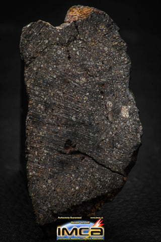 00010 - Beautiful 26.6g NWA Unclassified Carbonaceous Chondrite Polished Section