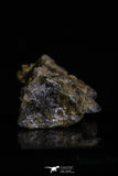 20472 - Top Beautiful Native Gold In Its Hydrothermal Quartz Matrix New Location Aouserd Occidental Sahara