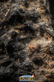 00012 - Nice 16.6g NWA Unclassified Carbonaceous Chondrite Polished Section