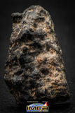 00012 - Nice 16.6g NWA Unclassified Carbonaceous Chondrite Polished Section