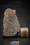 00012 - Nice 16.6g NWA Unclassified Carbonaceous Chondrite Polished Section