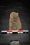 00012 - Nice 16.6g NWA Unclassified Carbonaceous Chondrite Polished Section