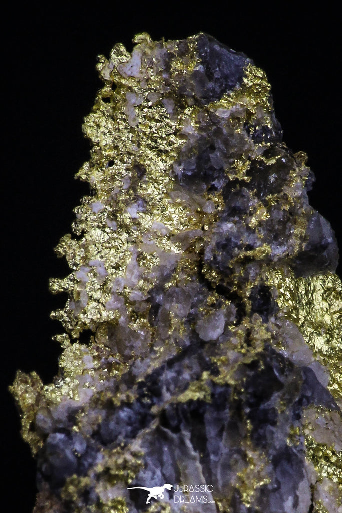 20475 - Top Beautiful Native Gold In Its Hydrothermal Quartz Matrix New Location Aouserd Occidental Sahara