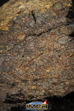00015A - NWA Unclassified Chondrite LL3 Meteorite 51.8g Polished Section