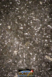 21459 - NWA Unclassified Chondrite H Meteorite 76.3g Polished Section