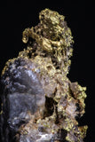 20477 - Top Beautiful Native Gold In Its Hydrothermal Quartz Matrix New Location Aouserd Occidental Sahara