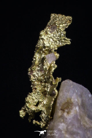 20478 - Top Beautiful Native Gold In Its Hydrothermal Quartz Matrix New Location Aouserd Occidental Sahara