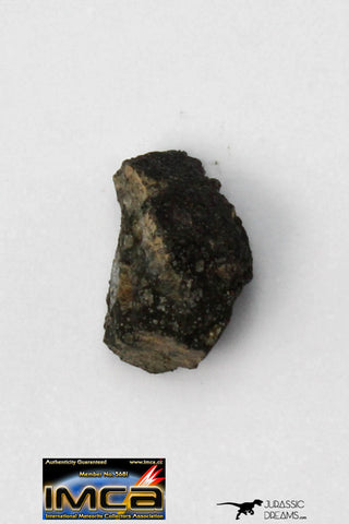 22286 - Rare NWA Unclassified Carbonaceous Chondrite Type CM 0.307 g
