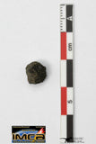 22287 - Rare NWA Unclassified Carbonaceous Chondrite Type CM 0.332g