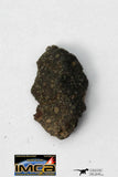 22288 - Rare NWA Unclassified Carbonaceous Chondrite Type CM 0.218g