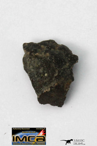 22290 - Rare NWA Unclassified Carbonaceous Chondrite Type CM 0.303g