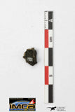 22290 - Rare NWA Unclassified Carbonaceous Chondrite Type CM 0.303g