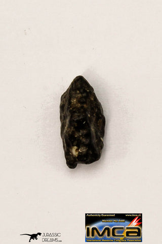 22295 - Official Lunar Meteorite "NWA 11182" 0.264 g (Feldspathic Breccia)