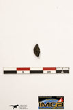 22295 - Official Lunar Meteorite "NWA 11182" 0.264 g (Feldspathic Breccia)