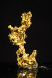 20483 - Top Beautiful Native Gold New Location Aouserd Occidental Sahara