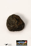 21670 - Lot of Official Chelyabinsk LL5 Type Chondrite Meteorites 2.09 g