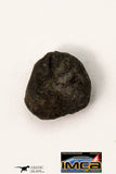 21670 - Lot of Official Chelyabinsk LL5 Type Chondrite Meteorites 2.09 g