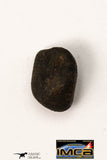 21670 - Lot of Official Chelyabinsk LL5 Type Chondrite Meteorites 2.09 g
