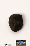 21670 - Lot of Official Chelyabinsk LL5 Type Chondrite Meteorites 2.09 g