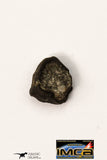 21670 - Lot of Official Chelyabinsk LL5 Type Chondrite Meteorites 2.09 g