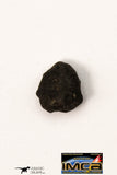 21670 - Lot of Official Chelyabinsk LL5 Type Chondrite Meteorites 2.09 g