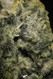 21569 - Association Quartz + Pyrite + Barite Crystals - Alnif (Morocco)