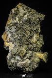 21569 - Association Quartz + Pyrite + Barite Crystals - Alnif (Morocco)